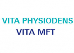 Vita искусственные зубы