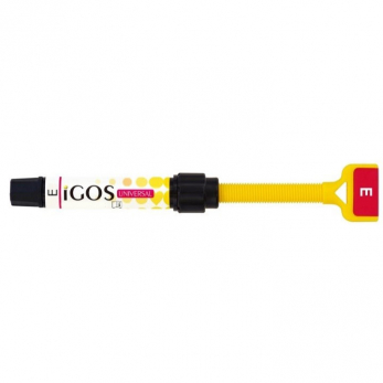 iGOS Universal светоотверждаемый композитный материал, цвет E, 4 г (2 мл)