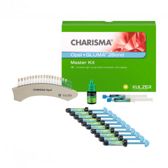Charisma Opal Syr Master Kit материал для пломбирования и реставраций, 10 шприцев