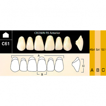 Crown PX Anterior зубы композитные трёхслойные, фронтальные верхние, фасон C61, цвет A2, 6 шт.
