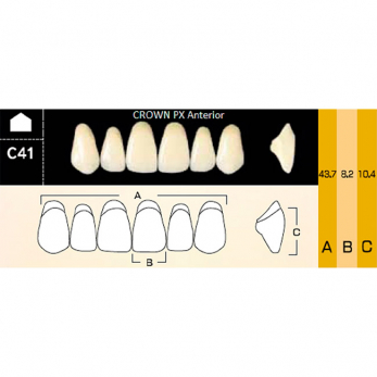 Crown PX Anterior зубы композитные трёхслойные, фронтальные верхние, фасон C41, цвет C2, 6 шт.