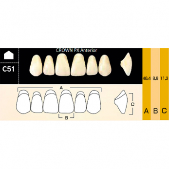 Crown PX Anterior зубы композитные трёхслойные, фронтальные верхние, фасон C51, цвет A3,5, 6 шт.