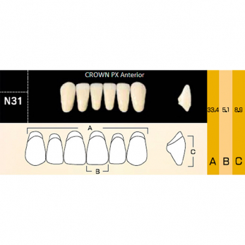 Crown PX Anterior зубы композитные трёхслойные, фронтальные нижние, фасон N31, цвет A2, 6 шт.