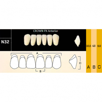 Crown PX Anterior зубы композитные трёхслойные, фронтальные нижние, фасон N32, цвет C1, 6 шт.