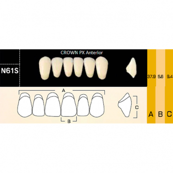 Crown PX Anterior зубы композитные трёхслойные, фронтальные нижние, фасон N61S, цвет B1, 6 шт.