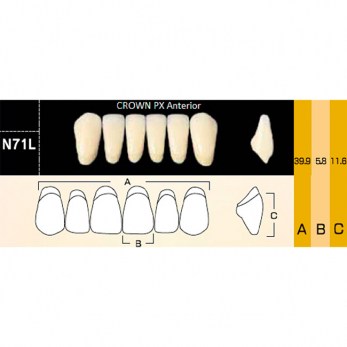 Crown PX Anterior зубы композитные трёхслойные, фронтальные нижние, фасон N71L, цвет C3, 6 шт.