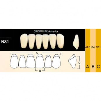 Crown PX Anterior зубы композитные трёхслойные, фронтальные нижние, фасон N81, цвет D2, 6 шт.