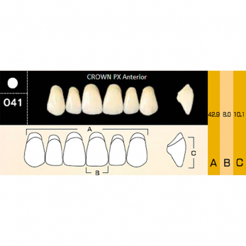 Crown PX Anterior зубы композитные трёхслойные, фронтальные верхние, фасон O41, цвет A3,5, 6 шт.