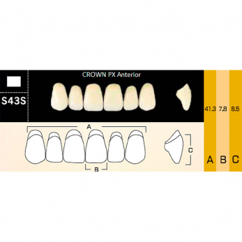 Crown PX Anterior зубы композитные трёхслойные, фронтальные верхние, фасон S43S, цвет A3, 6 шт.