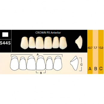 Crown PX Anterior зубы композитные трёхслойные, фронтальные верхние, фасон S44S, цвет B1, 6 шт.