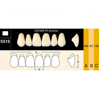 Crown PX Anterior зубы композитные трёхслойные, фронтальные верхние, фасон S51S, цвет B3, 6 шт.