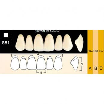 Crown PX Anterior зубы композитные трёхслойные, фронтальные верхние, фасон S81, цвет B1, 6 шт.