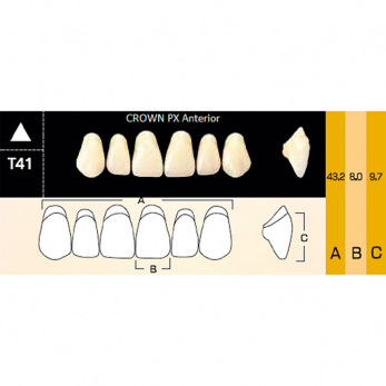 Crown PX Anterior зубы композитные трёхслойные, фронтальные верхние, фасон T41, цвет A2, 6 шт.