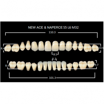 Gloria New Ace & Naperce зубы акриловые двухслойные, полный гарнитур, фасон S5/L6 М32, цвет A4, 28 шт.