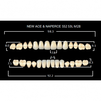 Gloria New Ace & Naperce зубы акриловые двухслойные, полный гарнитур, фасон SS2/S3L М28, цвет C4, 28 шт.