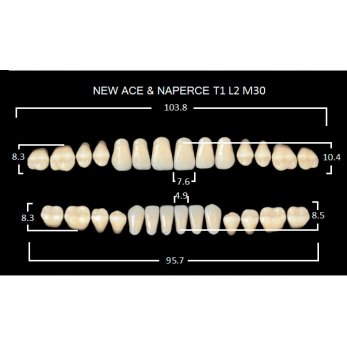 Gloria New Ace & Naperce зубы акриловые двухслойные, полный гарнитур, фасон T1/L2 М30, цвет D4, 28 шт.