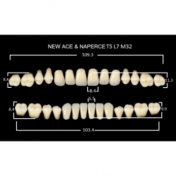 Gloria New Ace & Naperce зубы акриловые двухслойные, полный гарнитур, фасон T5/L7 М32, цвет B1, 28 шт.