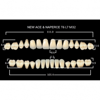 Gloria New Ace & Naperce зубы акриловые двухслойные, полный гарнитур, фасон T6/L7 М32, цвет A3,5, 28 шт.