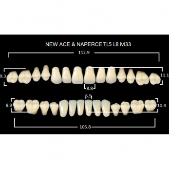 Gloria New Ace & Naperce зубы акриловые двухслойные, полный гарнитур, фасон TL5/L8 М33, цвет B2, 28 шт.