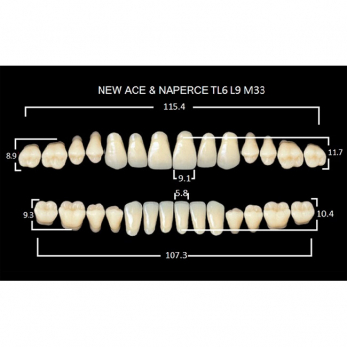 Gloria New Ace & Naperce зубы акриловые двухслойные, полный гарнитур, фасон TL6/L9 М33, цвет A1, 28 шт.