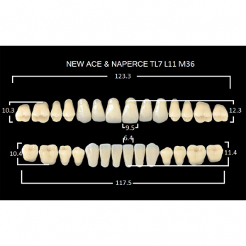 Gloria New Ace & Naperce зубы акриловые двухслойные, полный гарнитур, фасон TL7/L11 М36, цвет D3, 28 шт.