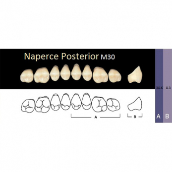 Naperce Posterior зубы акриловые двухслойные, боковые верхние, фасон M30, цвет A4, 8 шт.