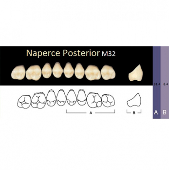 Naperce Posterior зубы акриловые двухслойные, боковые верхние, фасон M32, цвет B1, 8 шт.