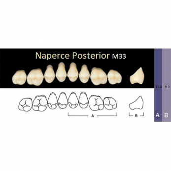 Naperce Posterior зубы акриловые двухслойные, боковые верхние, фасон M33, цвет C1, 8 шт.