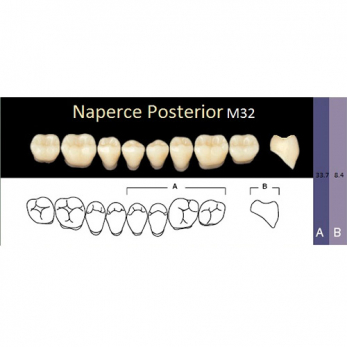 Naperce Posterior зубы акриловые двухслойные, боковые нижние, фасон M32, цвет D4, 8 шт.