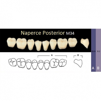 Naperce Posterior зубы акриловые двухслойные, боковые нижние, фасон M34, цвет A3,5, 8 шт.