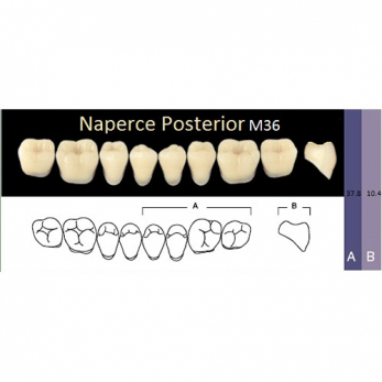 Naperce Posterior зубы акриловые двухслойные, боковые нижние, фасон M36, цвет D2, 8 шт.