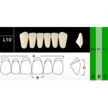 New Ace Anterior зубы акриловые двухслойные, фронтальные нижние, фасон L10, цвет B1, 6 шт.