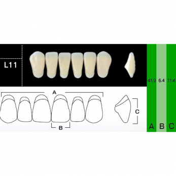 New Ace Anterior зубы акриловые двухслойные, фронтальные нижние, фасон L11, цвет A4, 6 шт.