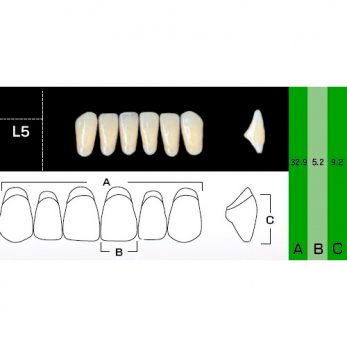 New Ace Anterior зубы акриловые двухслойные, фронтальные нижние, фасон L5, цвет B4, 6 шт.