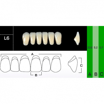New Ace Anterior зубы акриловые двухслойные, фронтальные нижние, фасон L6, цвет A2, 6 шт.