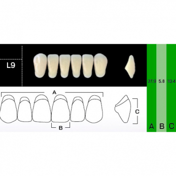 New Ace Anterior зубы акриловые двухслойные, фронтальные нижние, фасон L9, цвет A4, 6 шт.