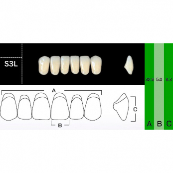 New Ace Anterior зубы акриловые двухслойные, фронтальные нижние, фасон S3L, цвет A1, 6 шт.