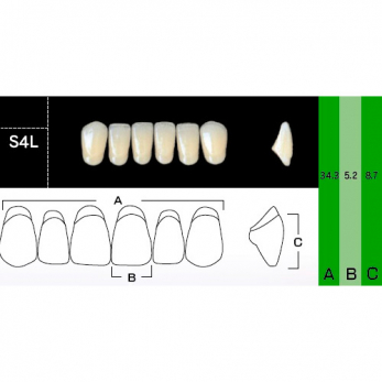 New Ace Anterior зубы акриловые двухслойные, фронтальные нижние, фасон S4L, цвет A4, 6 шт.