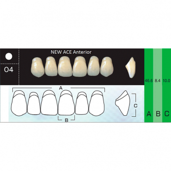 New Ace Anterior зубы акриловые двухслойные, фронтальные верхние, фасон O4, цвет A2, 6 шт.