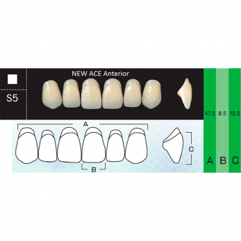 New Ace Anterior зубы акриловые двухслойные, фронтальные верхние, фасон S5, цвет A1, 6 шт.