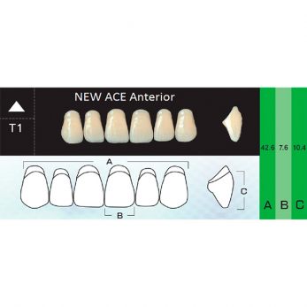 New Ace Anterior зубы акриловые двухслойные, фронтальные верхние, фасон T1, цвет B4, 6 шт.