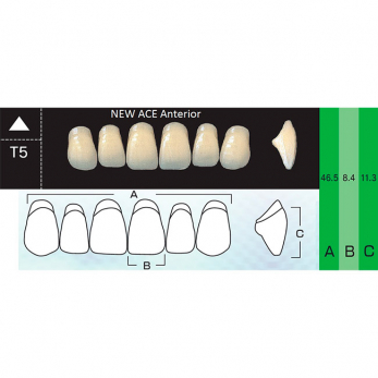 New Ace Anterior зубы акриловые двухслойные, фронтальные верхние, фасон T5, цвет W05, 6 шт.