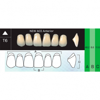 New Ace Anterior зубы акриловые двухслойные, фронтальные верхние, фасон T6, цвет A1, 6 шт.