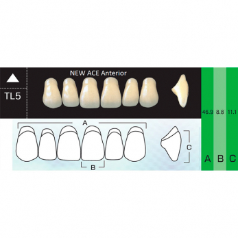 New Ace Anterior зубы акриловые двухслойные, фронтальные верхние, фасон TL5, цвет B1, 6 шт.