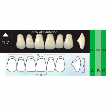 New Ace Anterior зубы акриловые двухслойные, фронтальные верхние, фасон TL7, цвет C1, 6 шт.