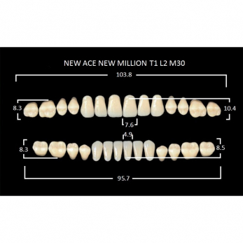 New Ace & New Million зубы акриловые двухслойные и однослойные, полный гарнитур, фасон T1/L2 M30, цвет B2, 28 шт.