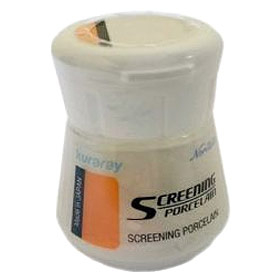 EX-3 Screening Porcelain экранирующий фарфор, цвет NW0G, 10 г