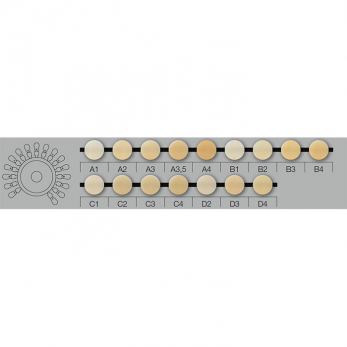 Creation Shade Guide Dentine A - D шкала расцветок дентина, 1 шт.