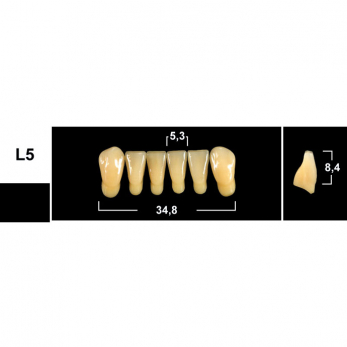 Tribos зубы акриловые, фронтальные нижние, фасон L5, цвет A2, 6 шт.