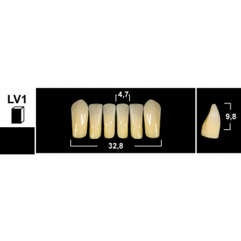 Tribos зубы акриловые, фронтальные нижние, фасон LV1, цвет C3, 6 шт.